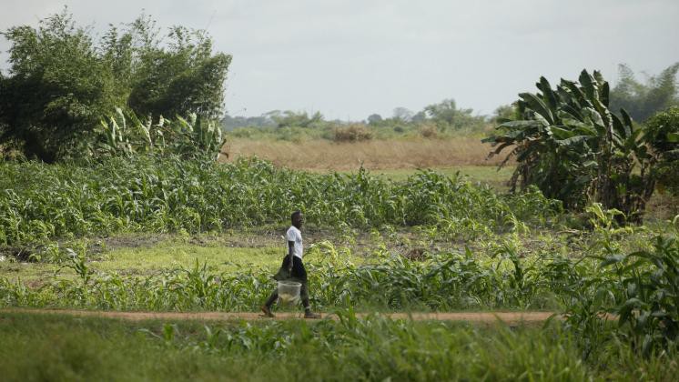 Avoiding the Wrong Prescription: Why Country M&E Diagnostics Are Just What the Doctor Ordered