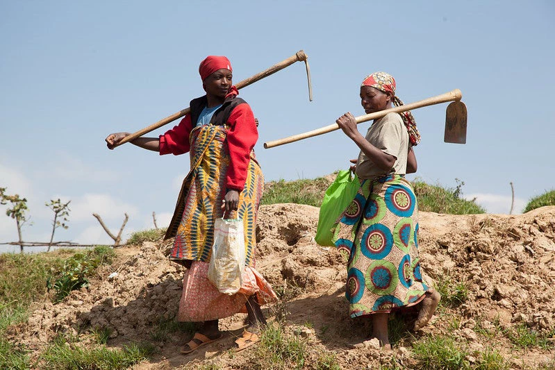 Women create terraces in Rwanda. Photo: A'Melody Lee / World Bank