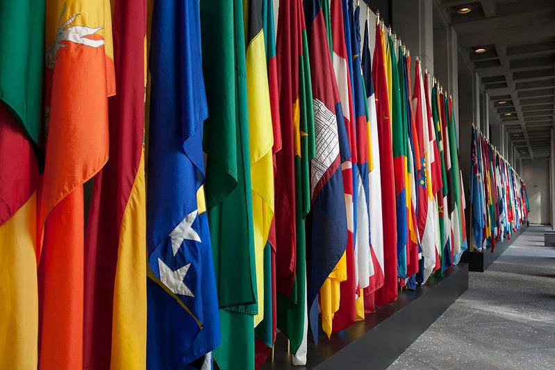 World flags displayed in a row