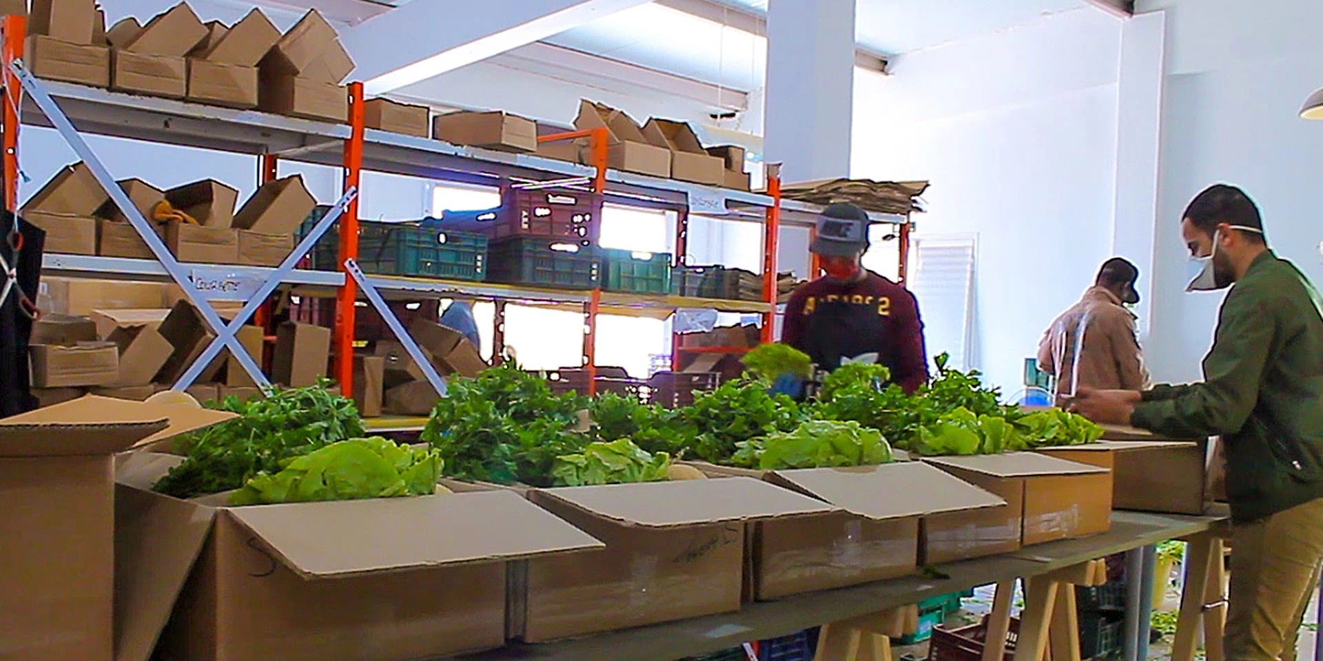 Farm Trust employees pack fruits and vegetables for delivery in the greater Tunis area. The start-up supplies 80 boxes on a daily basis.
Photographer: Salma Aloui

