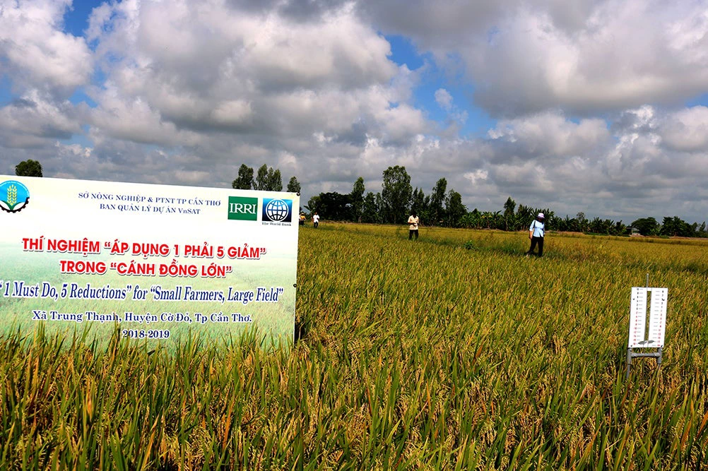 Vietnam Sustainable Agriculture Transformation Project