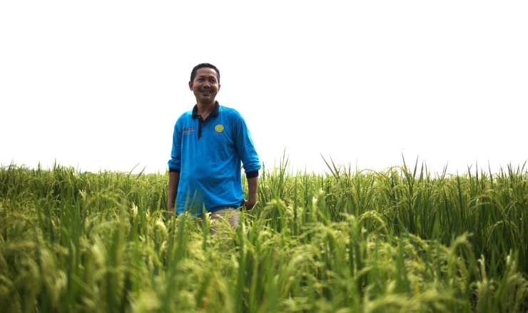 Making every drop count: Rebuilding small-scale irrigation in Indonesia to counter climate change