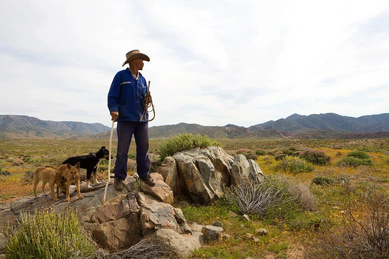 Richtersveld Community Conservancy, à la frontière sud du parc national du Richtersveld, dans la province du Cap-du-Nord, en Afrique du Sud. © John Hogg / Banque mondiale