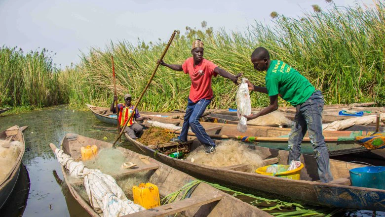 Fishermen on a tributary of the Senegal River, which courses through Guinea, Mali, Mauritania, and Senegal in West Africa