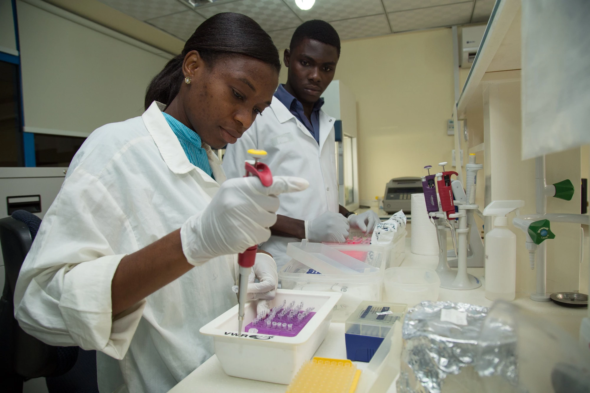 A sustainable and nutritious food system in Ghana is creating jobs for youth, producing healthy livestock and nutritious food for farmers to sell and people to eat. Photo: © Dasan Bobo/World Bank