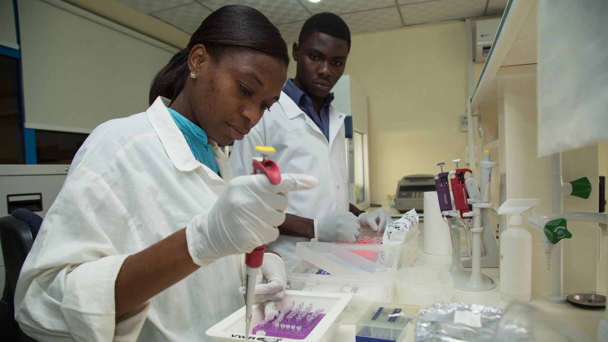 باحثون في معهد بحوث CSIR-Crops (CSIR-CRI) في غانا. © داسان بوبو / البنك الدولي 