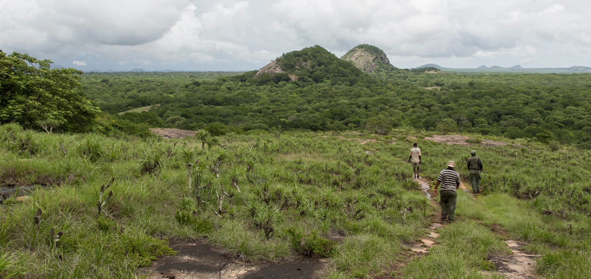 Quirimbas National Park, Mozambique. Photo: © Andrea Borgarello/World Bank