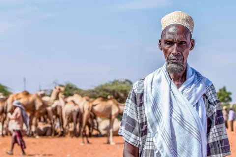 Man herding camels in Kenya