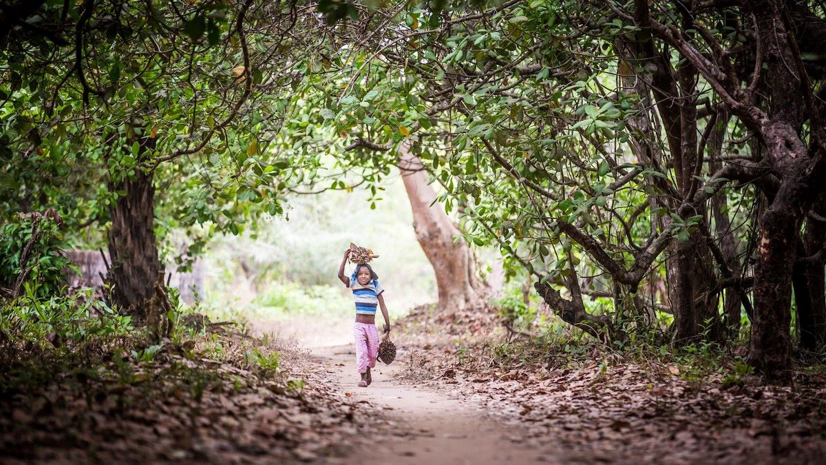 Woman walking under trees