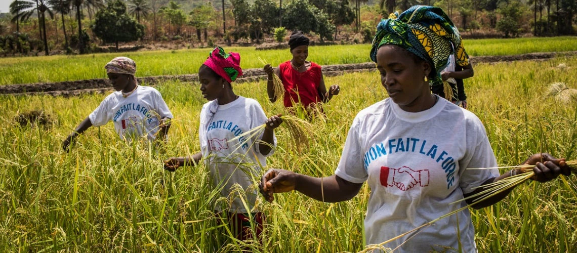 forming more than 40 percent of the agricultural labor force in Sub Saharan Africa, women are not only the victims of the food crisis?they can, and must, be a part of the solution too. 