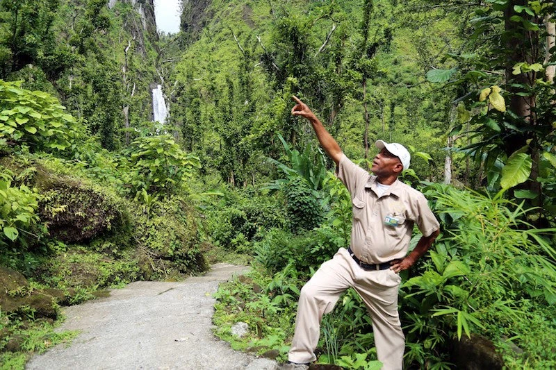 L’agent forestier Felix Eugene nous a guidés jusqu’à Trafalgar Falls, une double chute d’eau nichée au cœur du parc national Morne Trois Pitons, classé au patrimoine mondial naturel par l’UNESCO. © Emily Bartels Bland/Banque mondiale