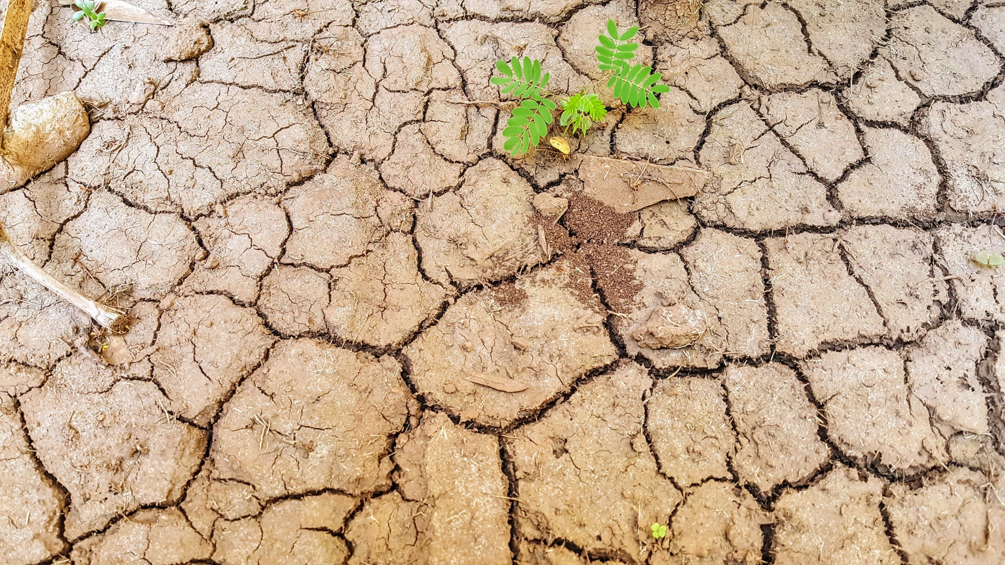 Land Degradation Focal Area (LDFA) Study 2017