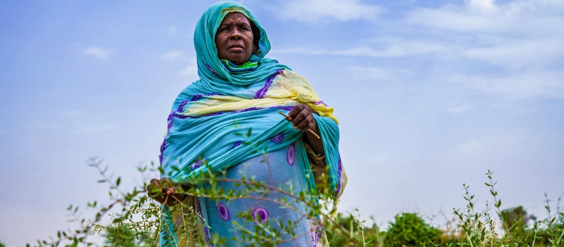 Unleashing women’s potential and advancing gender equality in economic ...