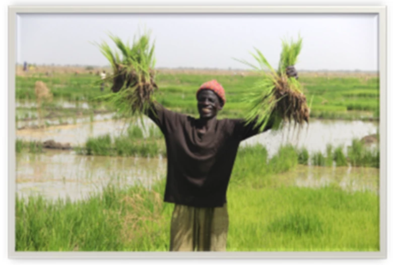 Lake Chad