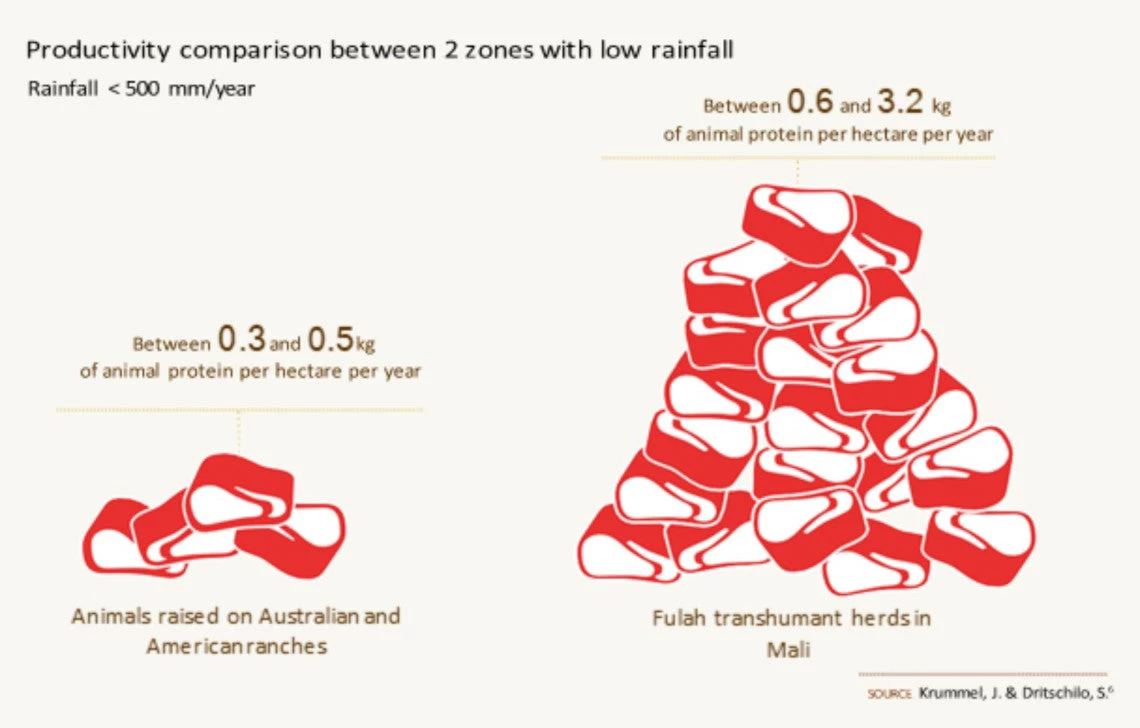 Productivity comparison between 2 zones with low rainfall