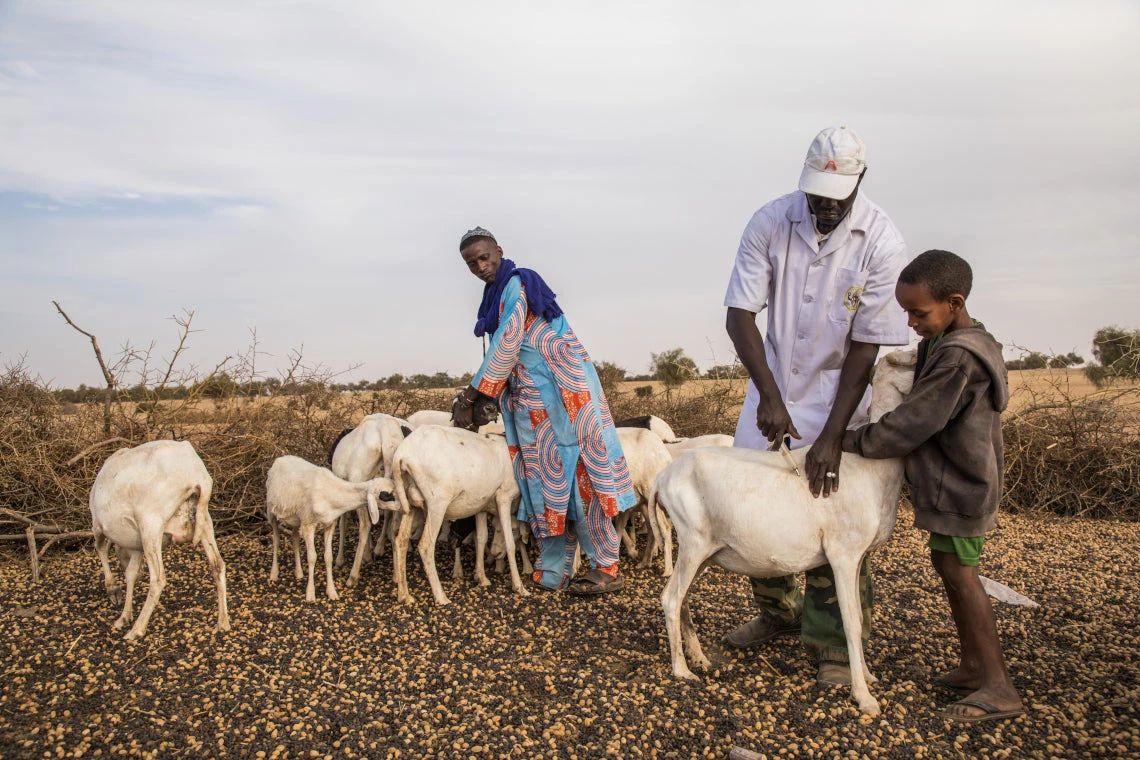 PRAPS had financed the training of 51 young veterinarians