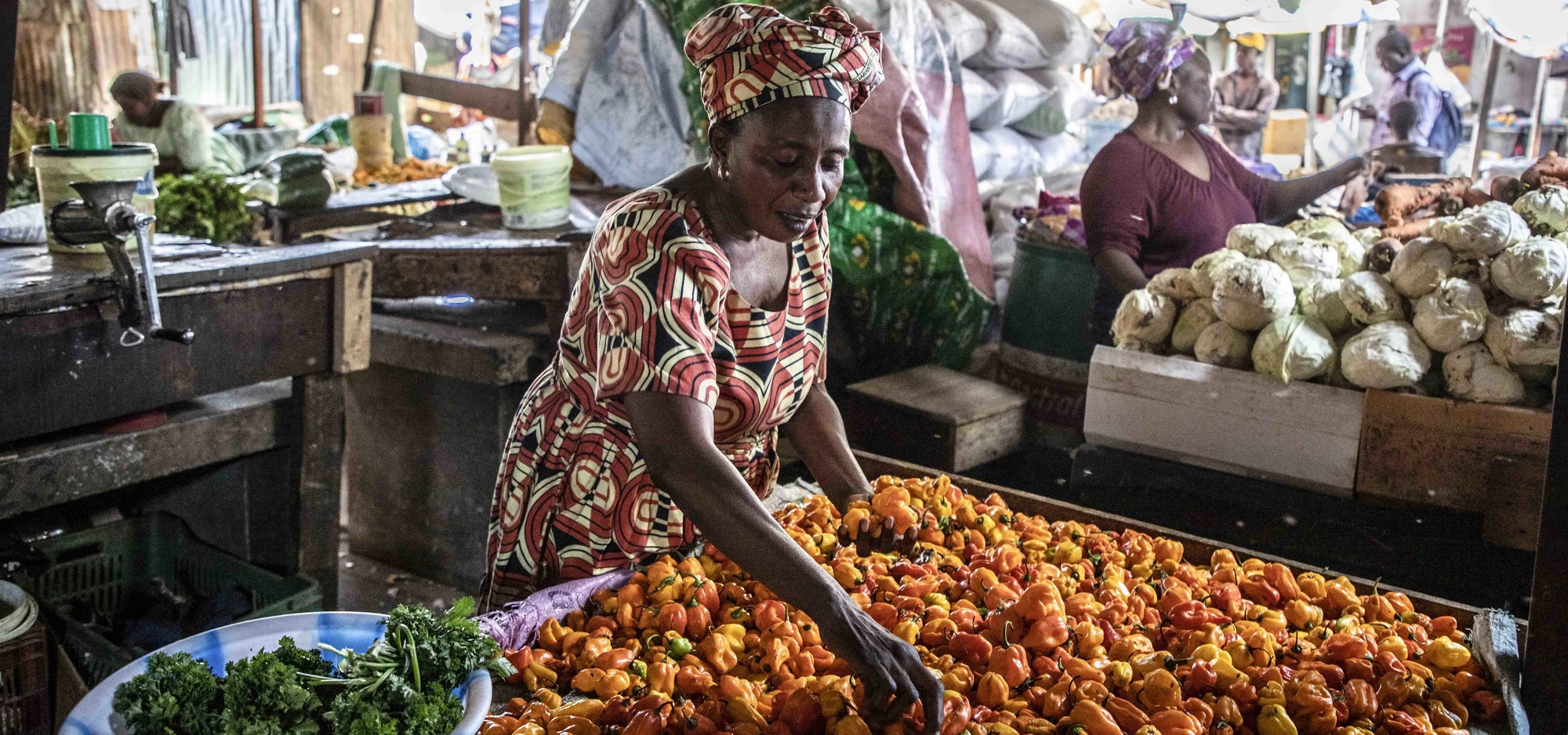 Misons sur la protection sociale adaptative pour en finir avec la faim et la malnutrition