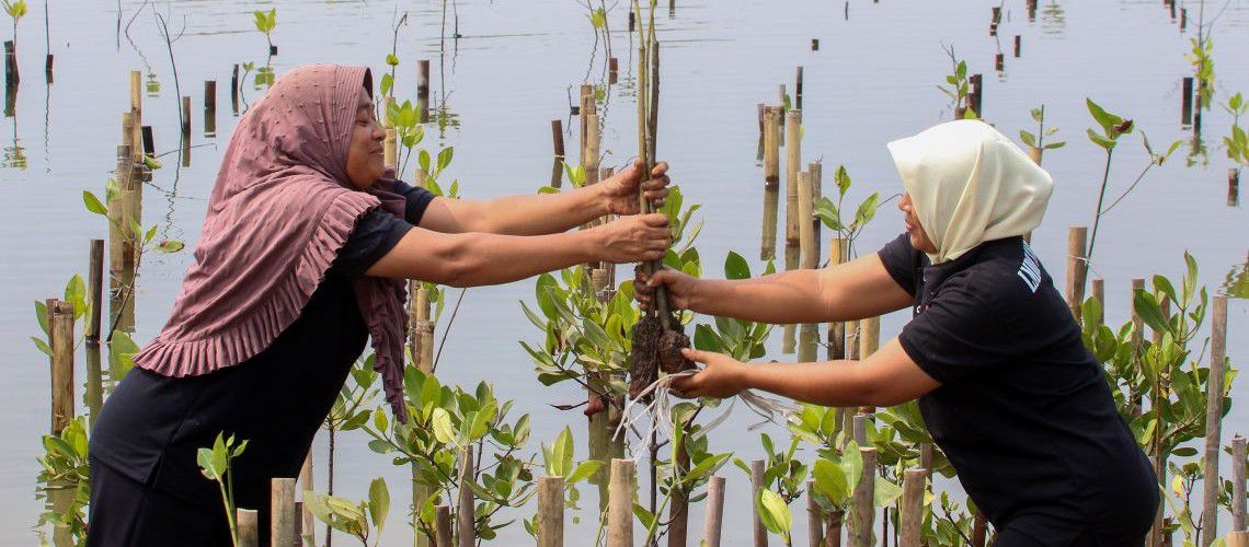 Five Lessons on Creating Jobs and Building Resilience through Local Initiatives