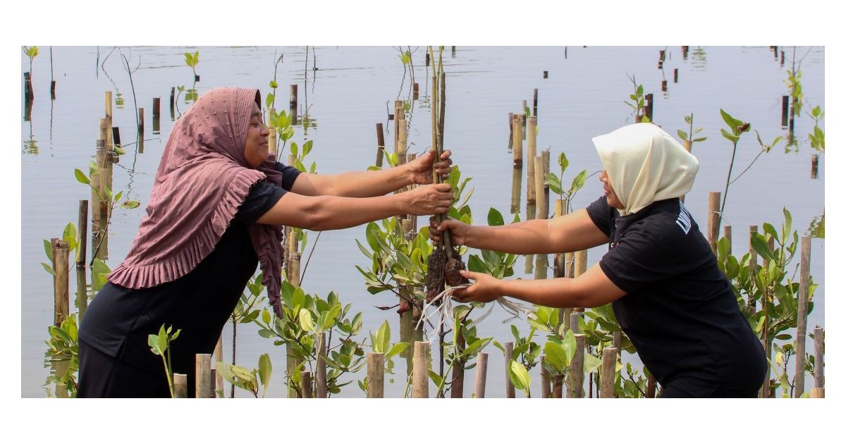 Five Lessons on Creating Jobs and Building Resilience through Local Initiatives