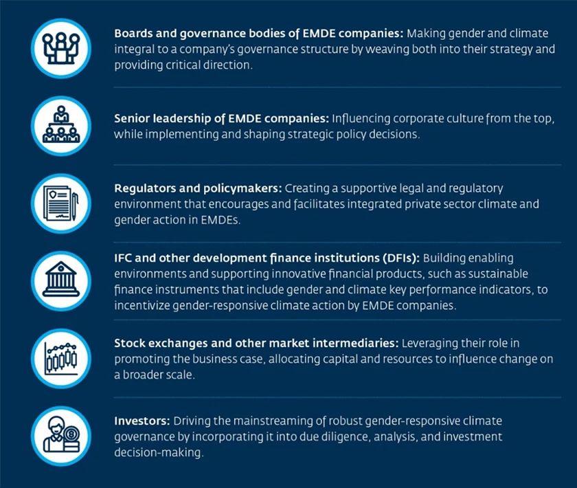 Table: Roles boards, executives, regulators, investors, development finance institutions