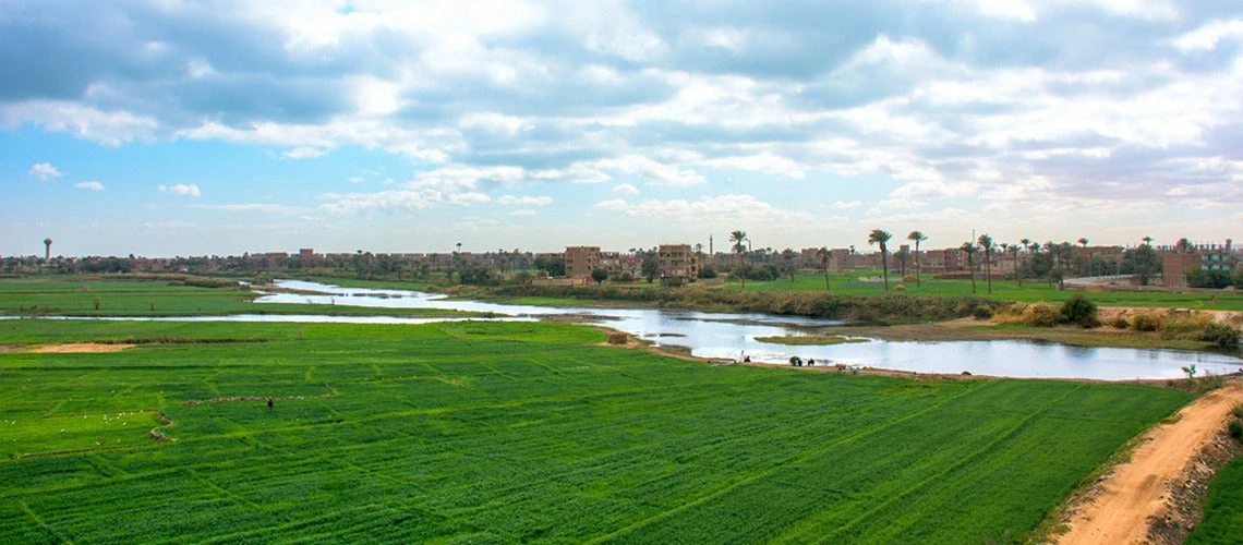 Farm fields in Egypt