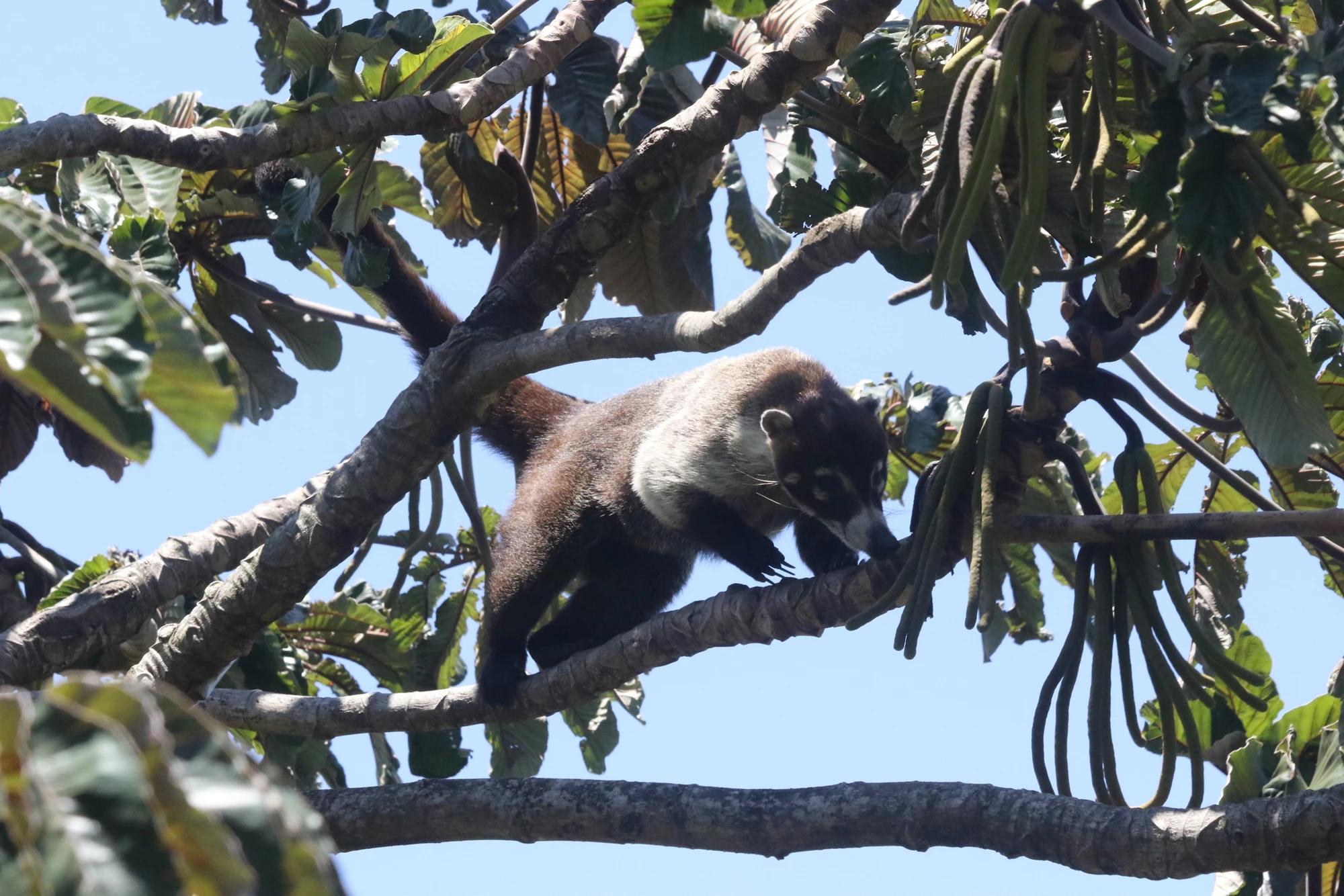 GEF Project Performance and Progress to Impact (APR 2016)