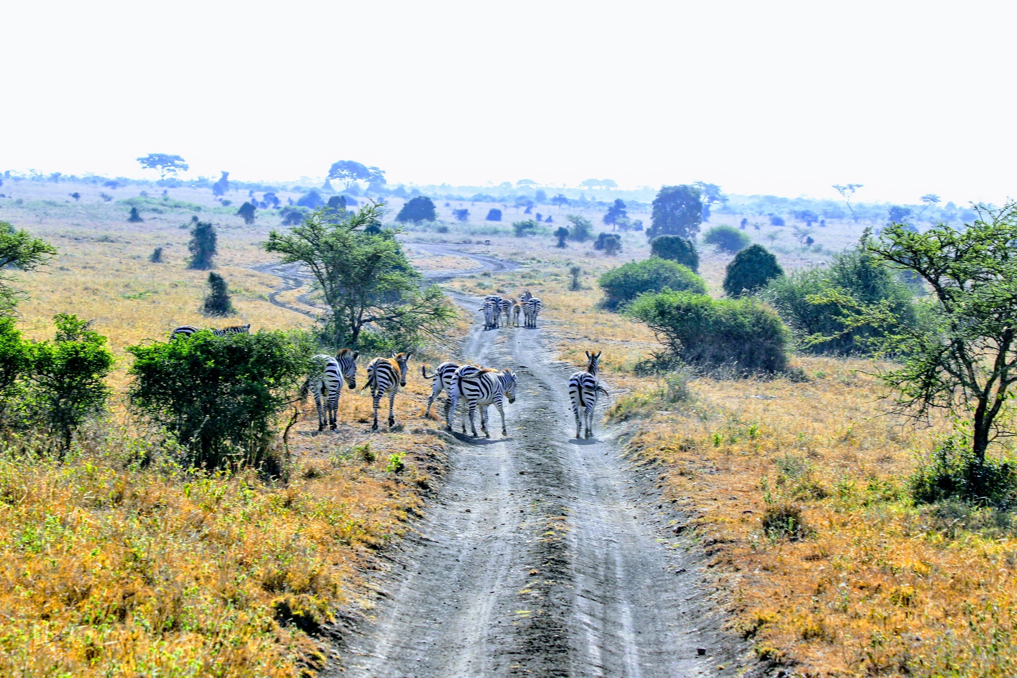 Sixth Comprehensive Evaluation of the GEF: Update and Synthesis