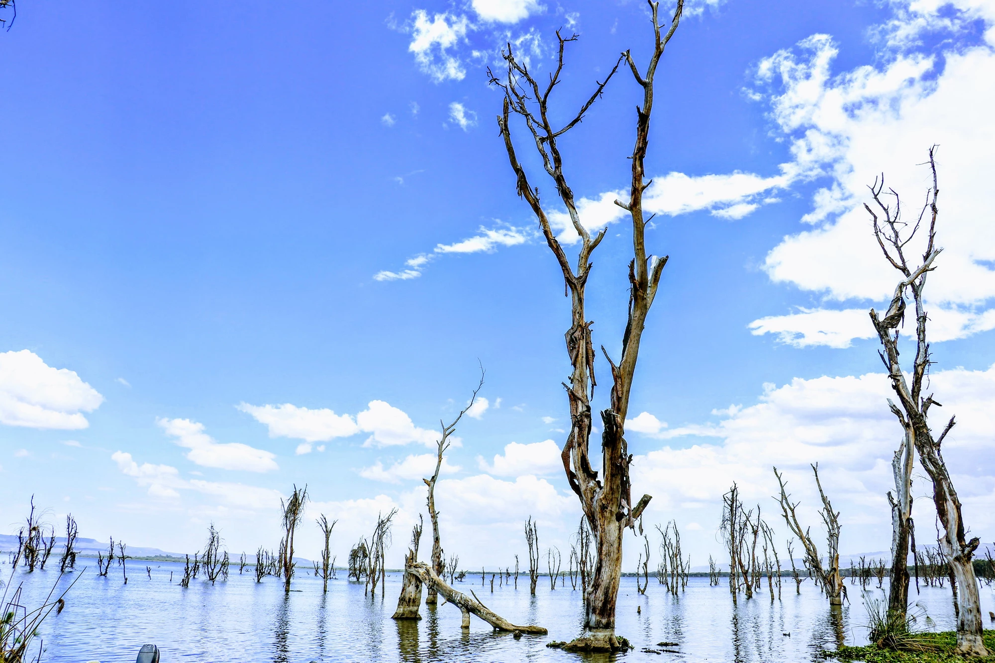 Climate Change (CC) Focal Area Study 2017