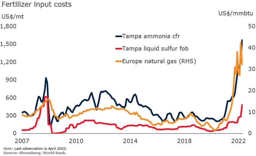 fertilizer input costs