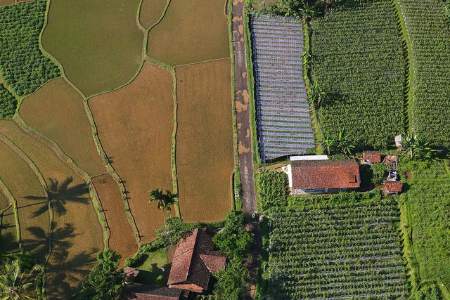 Vue aérienne du parc national Halimun Salak et des ses environs, Java occidental, Indonésie. © Kate Evans / CIFOR