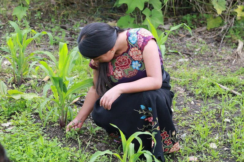 Agricultora en Chiapas
