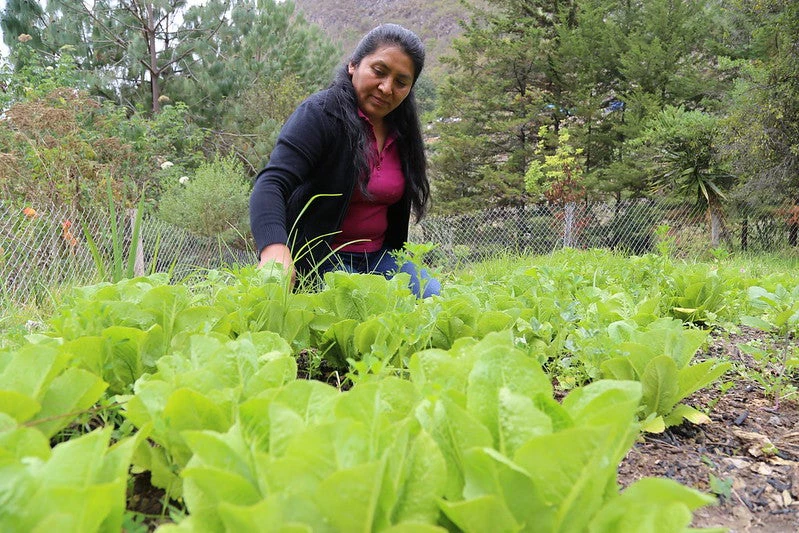 Agricultora en Oaxaca