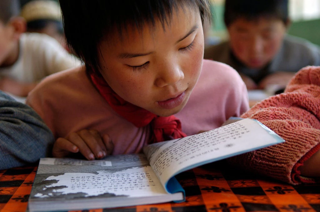 Data shows that huge swaths of populations in developing countries are not learning to read. Scaling up early reading interventions will be a first step toward addressing these high illiteracy rates.