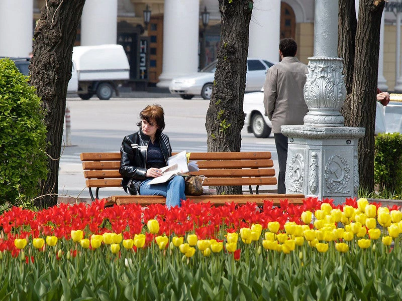 A young woman studies in the park.