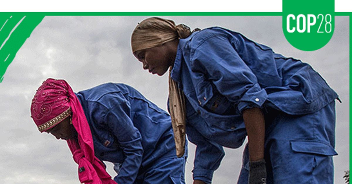 Event | COP28 | Adapting to Climate Change in Fragile and Conflict Settings: Opportunities for Scaling Action - Vimarsana News