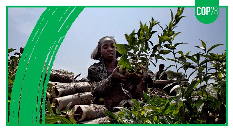 World Bank Group at COP28 Live From Dubai, United Arab Emirates. Event banner -  CCDR Axel van Trotsenburg. Photo credit: Andrea Borgarello/World Bank