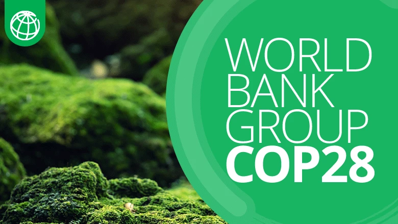 World Bank Group at COP 27