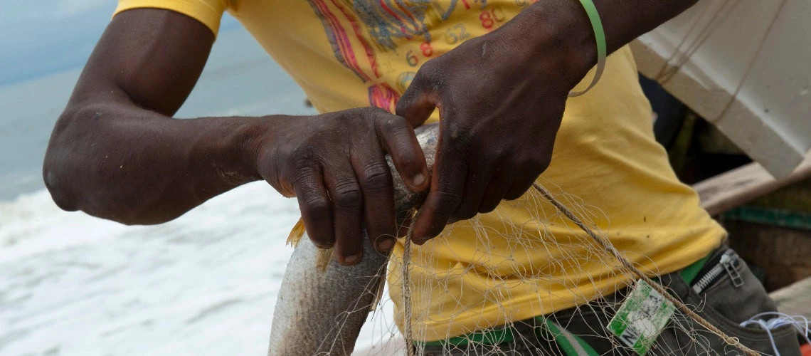The people in the fishing village of Orimedu (Lagos State) have benefited greatly from Nigeria's Fadama II project