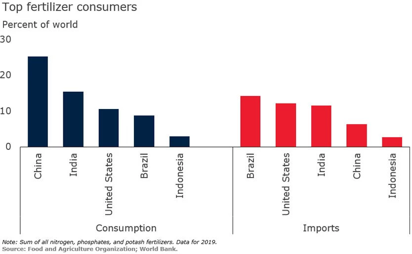 Top Fertilizer Consumers