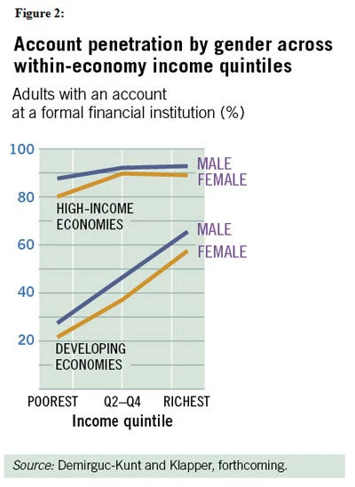 Account penetration by gender -- Figure 2