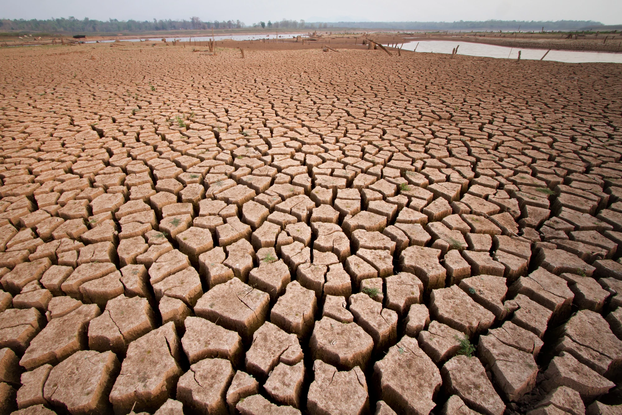 There is no one solution to climate safe future