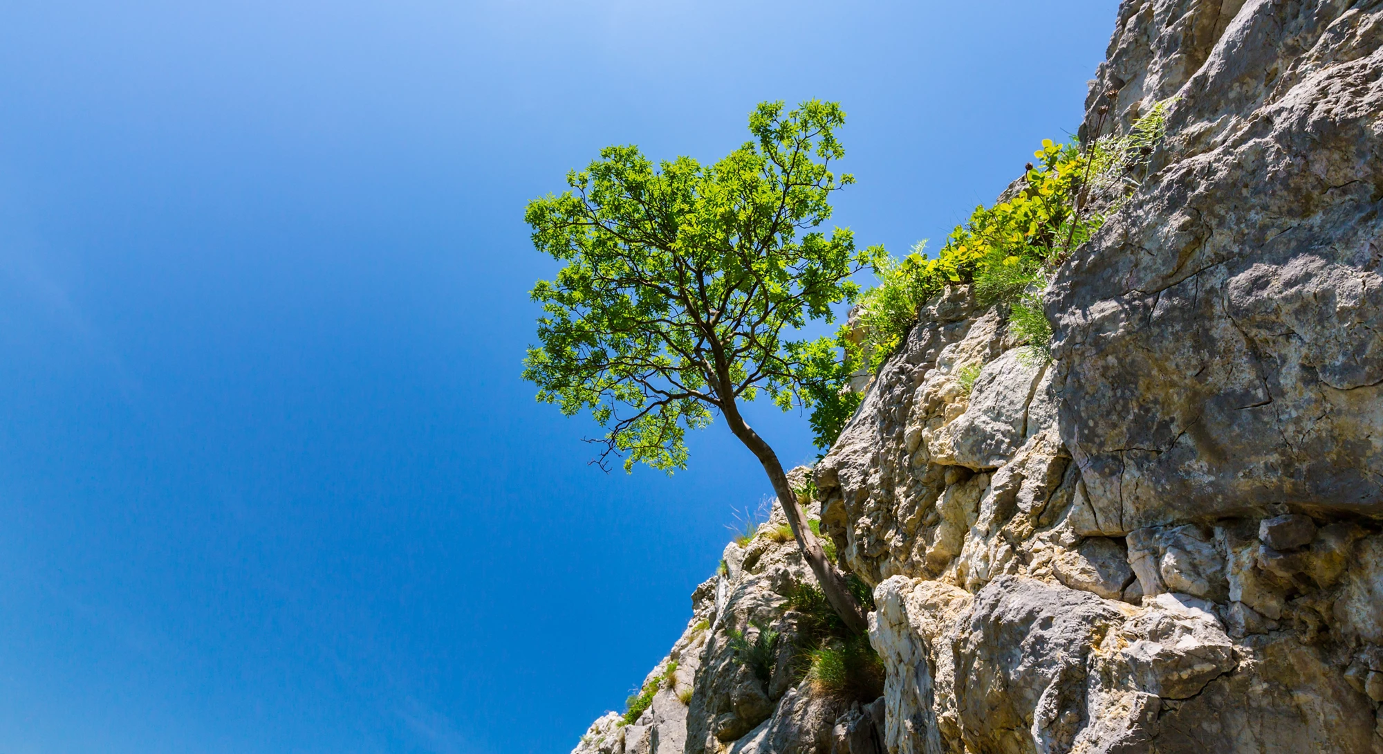 Enhancing Impact Through Learning: Lessons from the Global Environment Facility's Evaluation of Setbacks