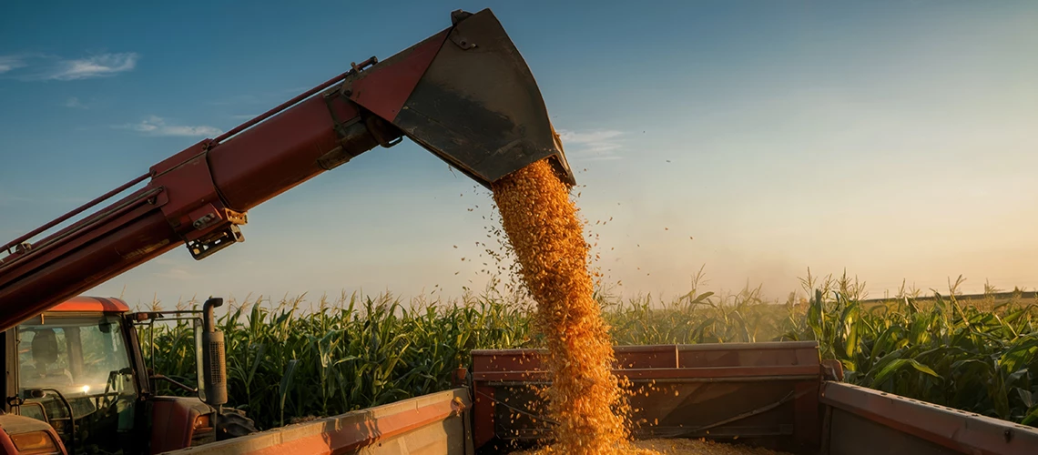 Commodity wealth demands a fiscal balancing act