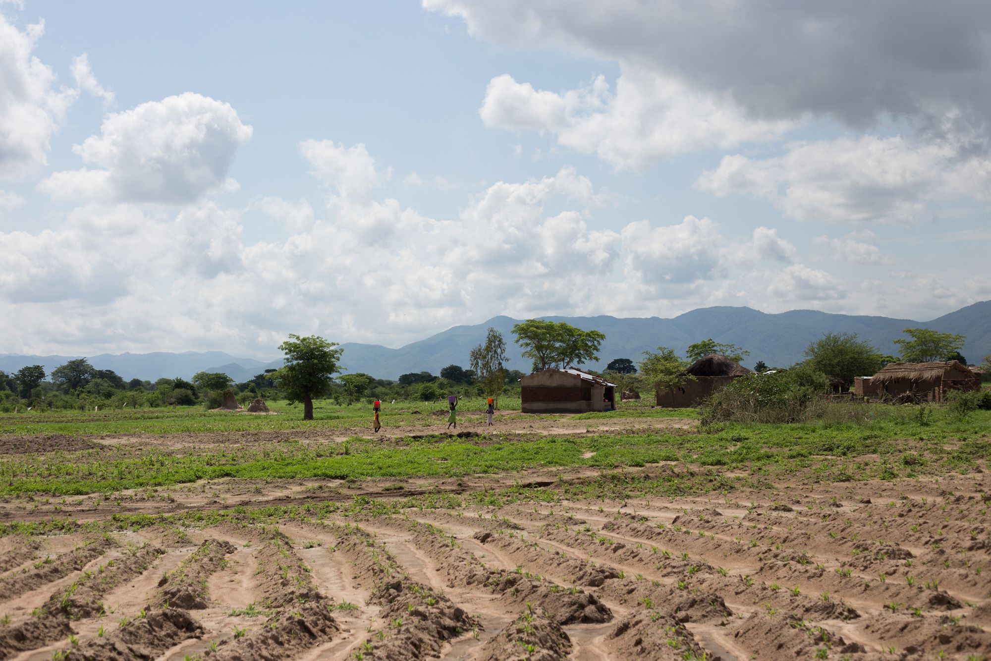 Malawi