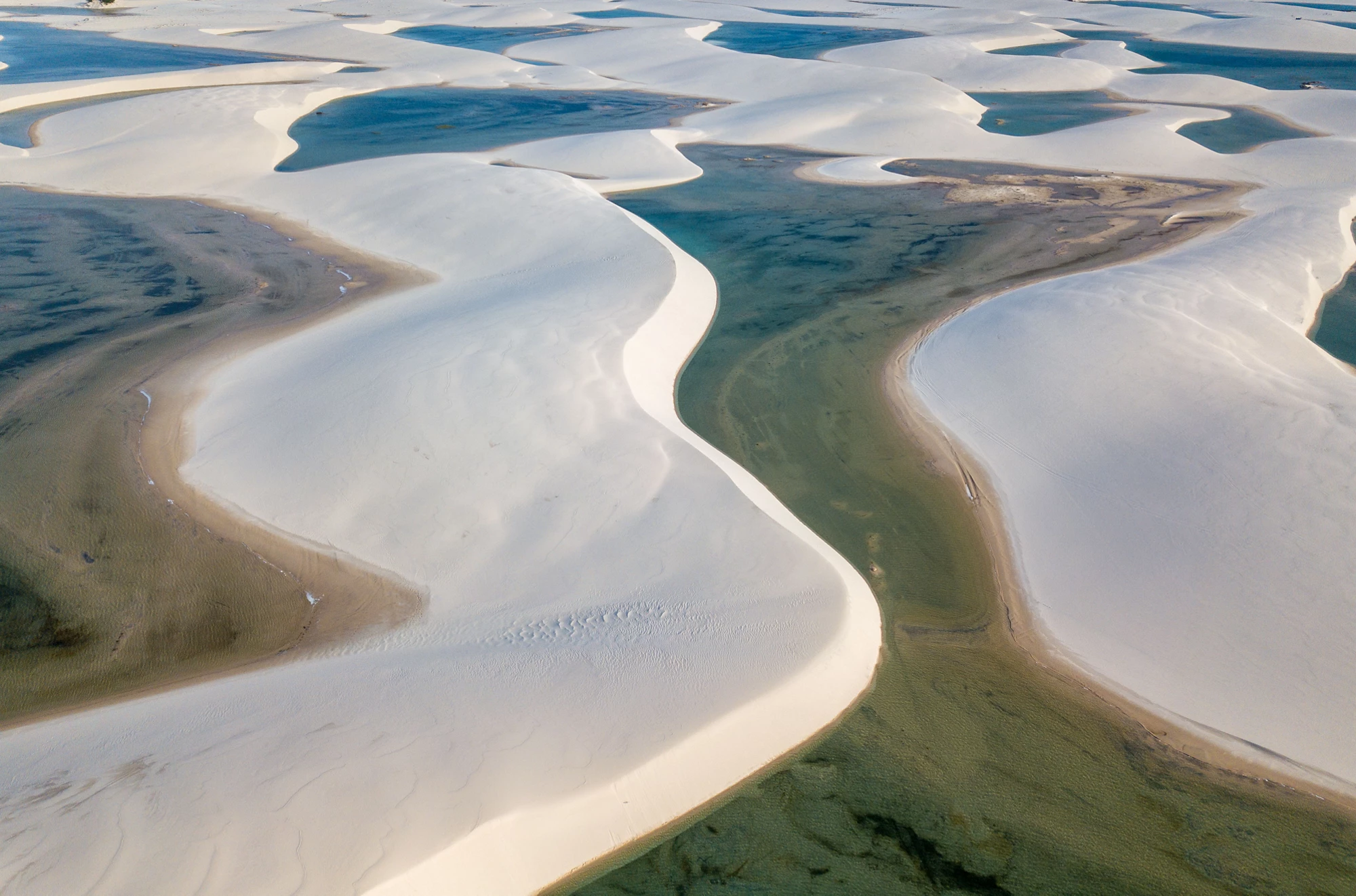 1st Overall Performance Study (OPS1)