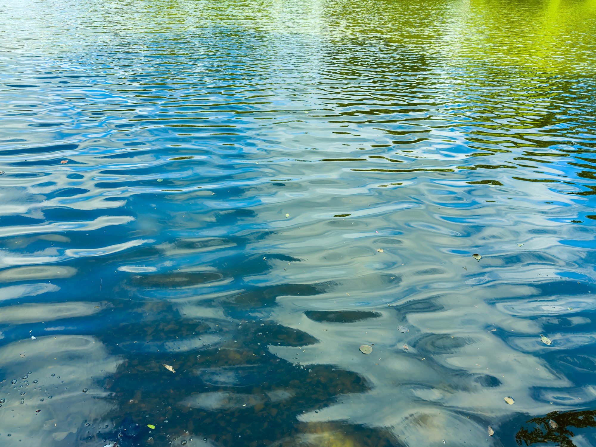 A calming view of rippling blue water gently reflecting the lush greenery above, which creates a serene and tranquil atmosphere that is perfect for relaxation and peace