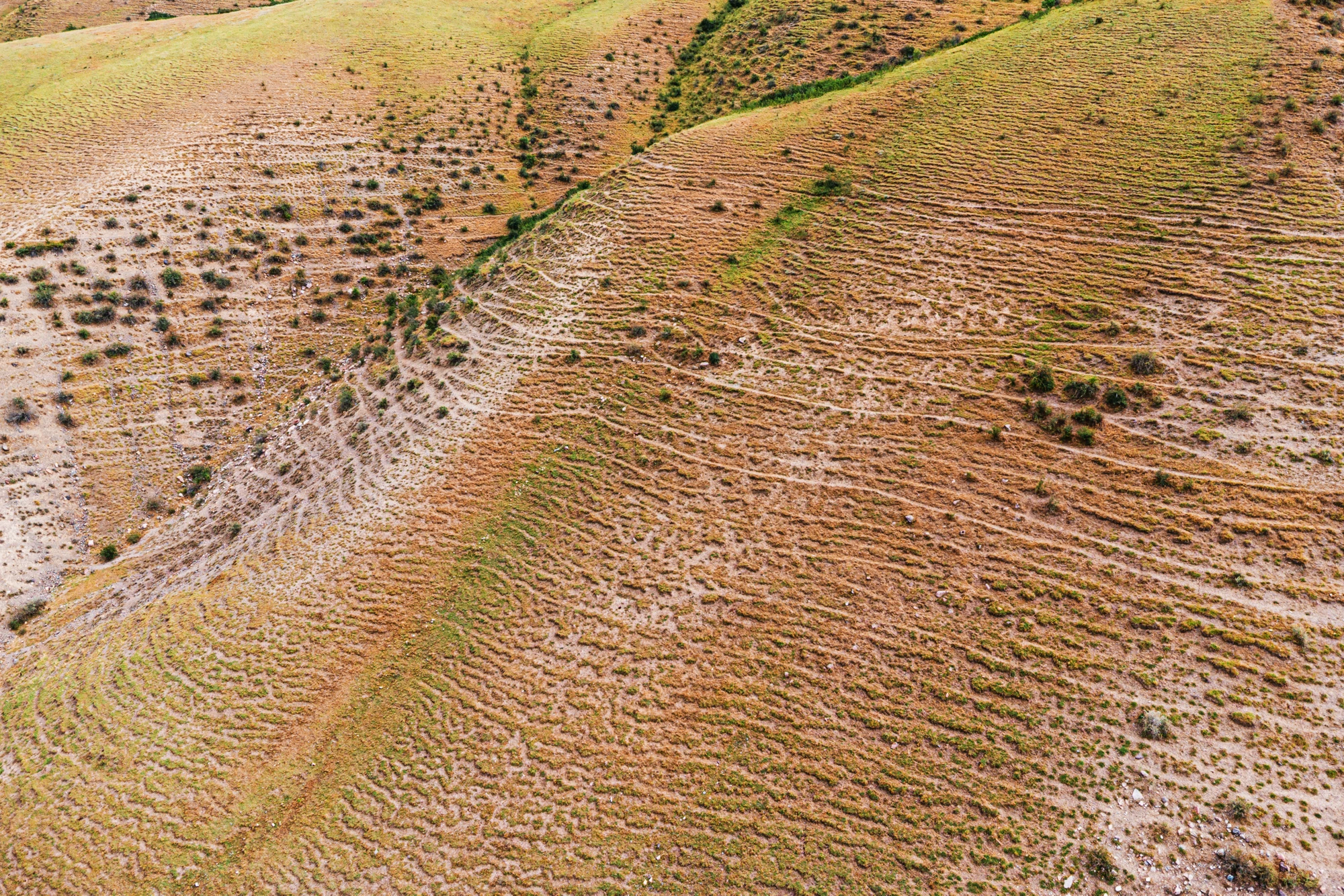 Aerial view of desertification showing dry and cracked soil with sparse vegetation, highlighting the effects of climate change