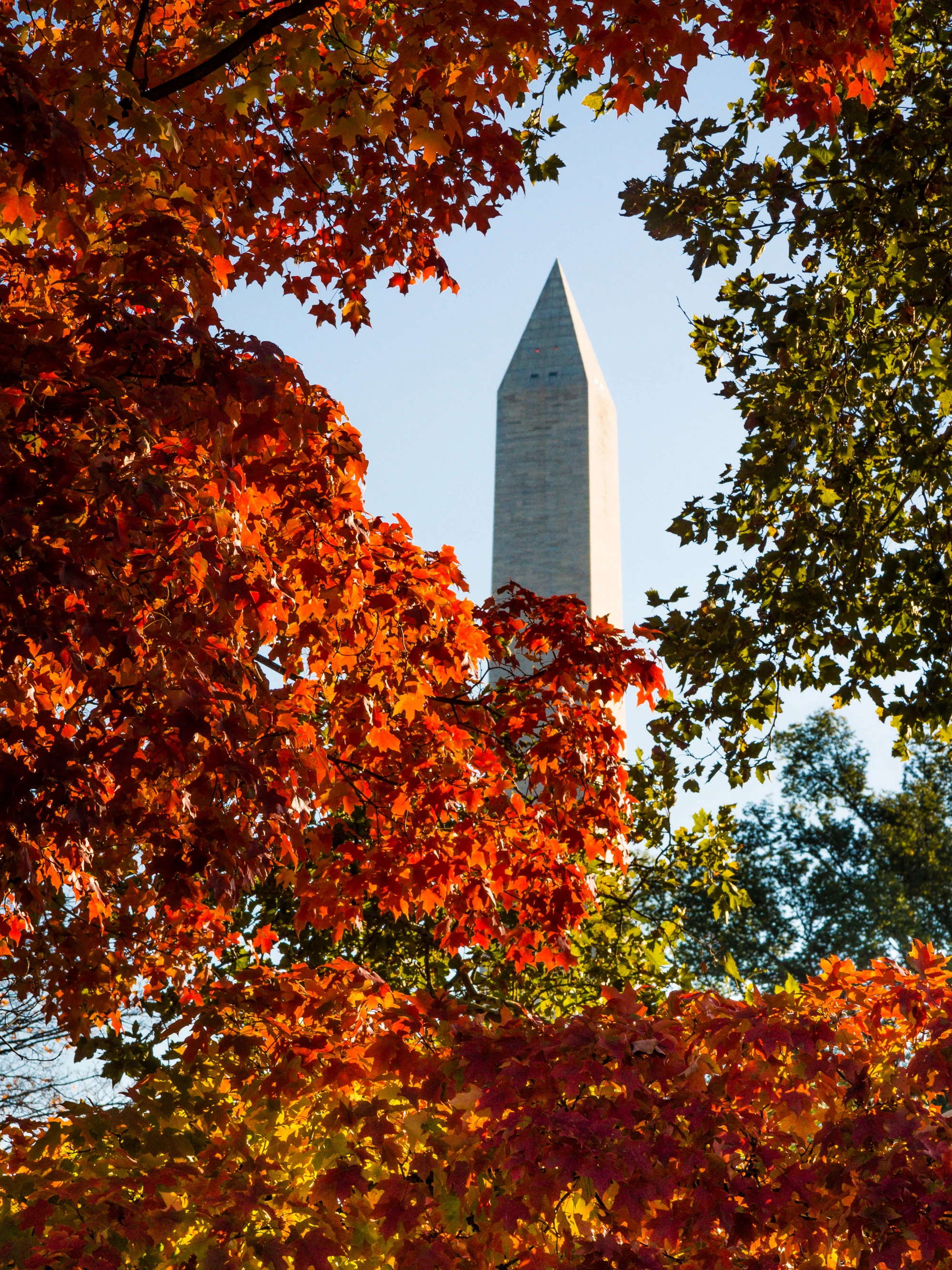 Autumn image in Washington, D.C.