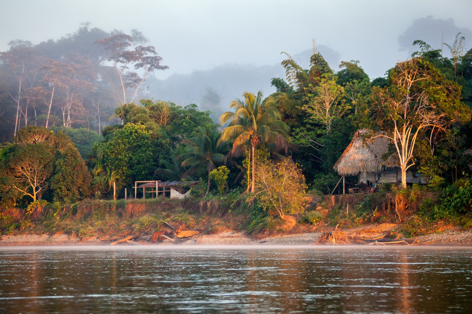 Early Morning on Amazonian River