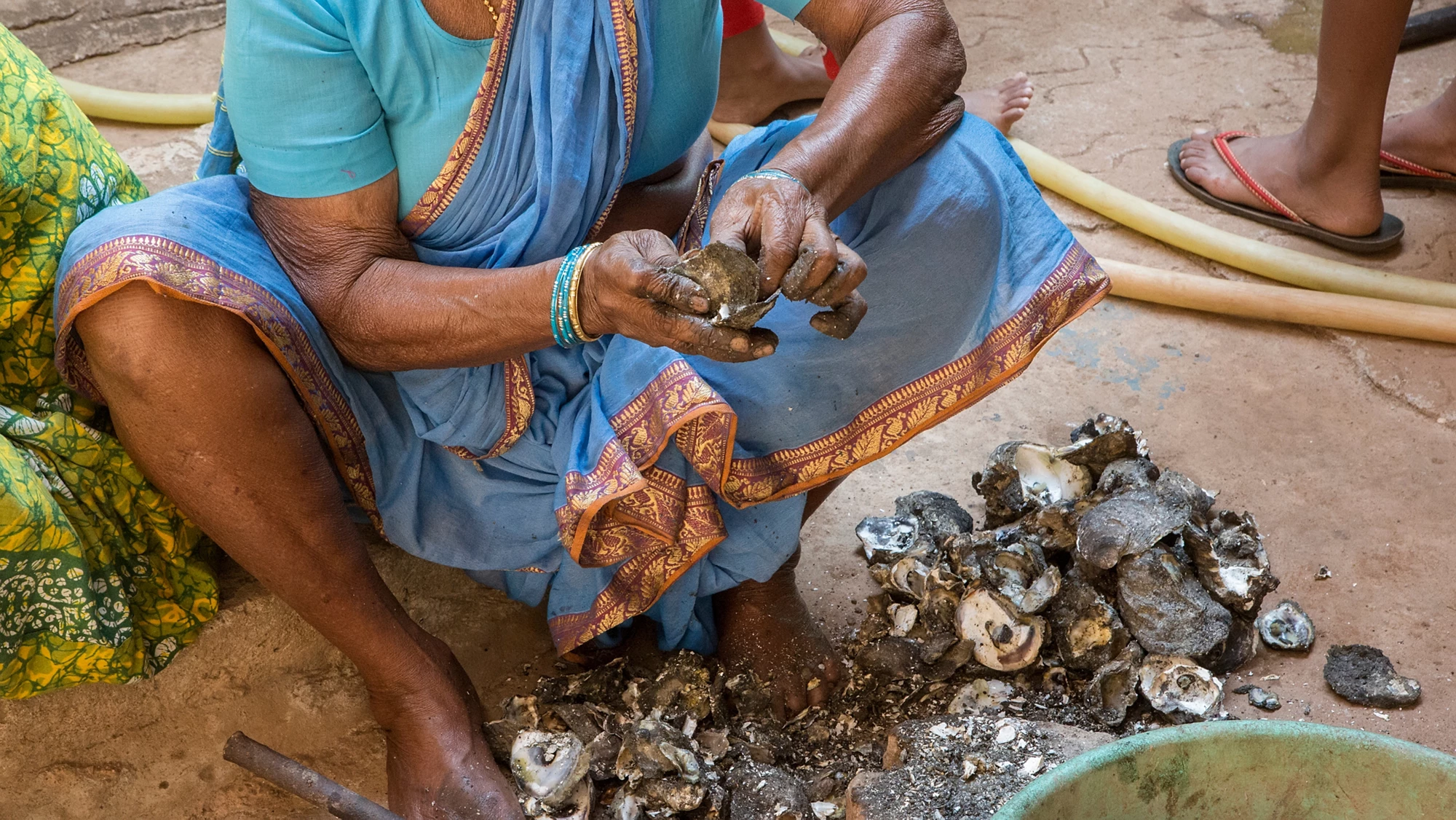Indian Womens cleaning mussels after fishing. The life of a fishing Indian village In Goa. Cooking fresh Seafood from the ocean. Fisherman's family preparing dinner. Many oysters in the shells
